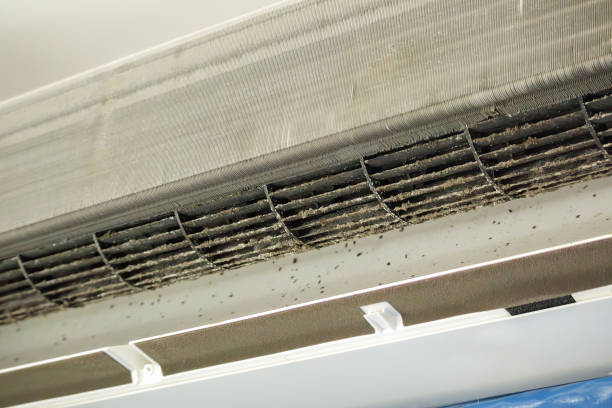 Best Local Air Duct Cleaning Services  in Logansport, LA